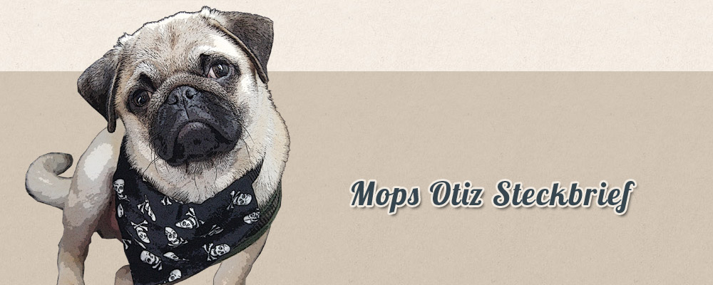 Mops Otiz  So sehe ich aus