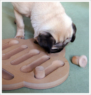 Mops Otiz spielt mit Intelligenzspielzeug für Hunde